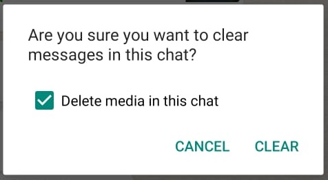 WhatsApp
Clear Chat
Delete Media